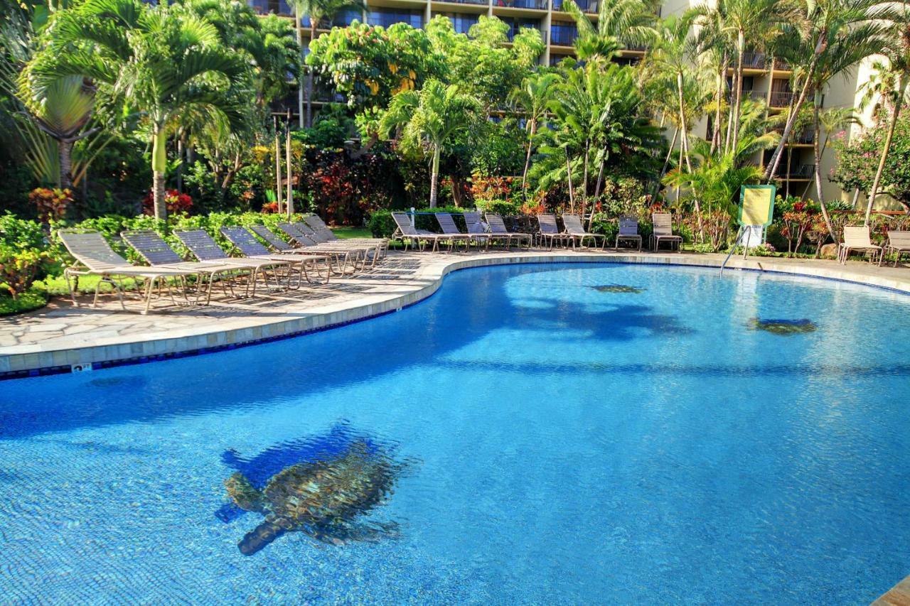 Kaanapali Shores 706 외부 사진